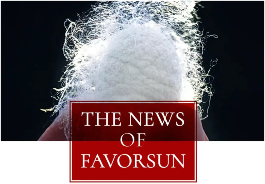 復(fù)向醫(yī)療全員觀看93閱兵直播：科技企業(yè)的家國情懷與時(shí)代擔(dān)當(dāng)